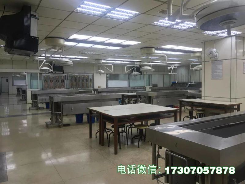 巨鹿实验解剖室