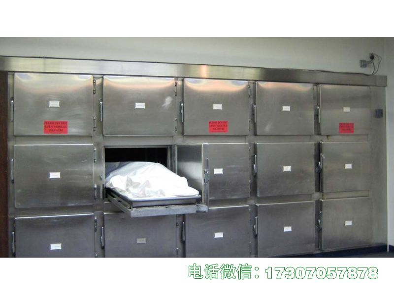 遵化尸体冰柜冰箱