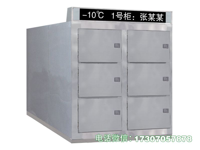 邯郸医用尸体冷冻柜