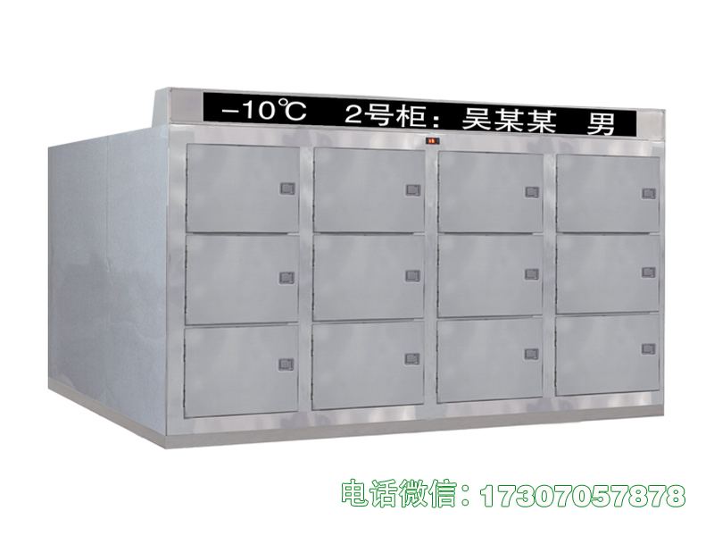 巨鹿尸体储藏冷冻柜